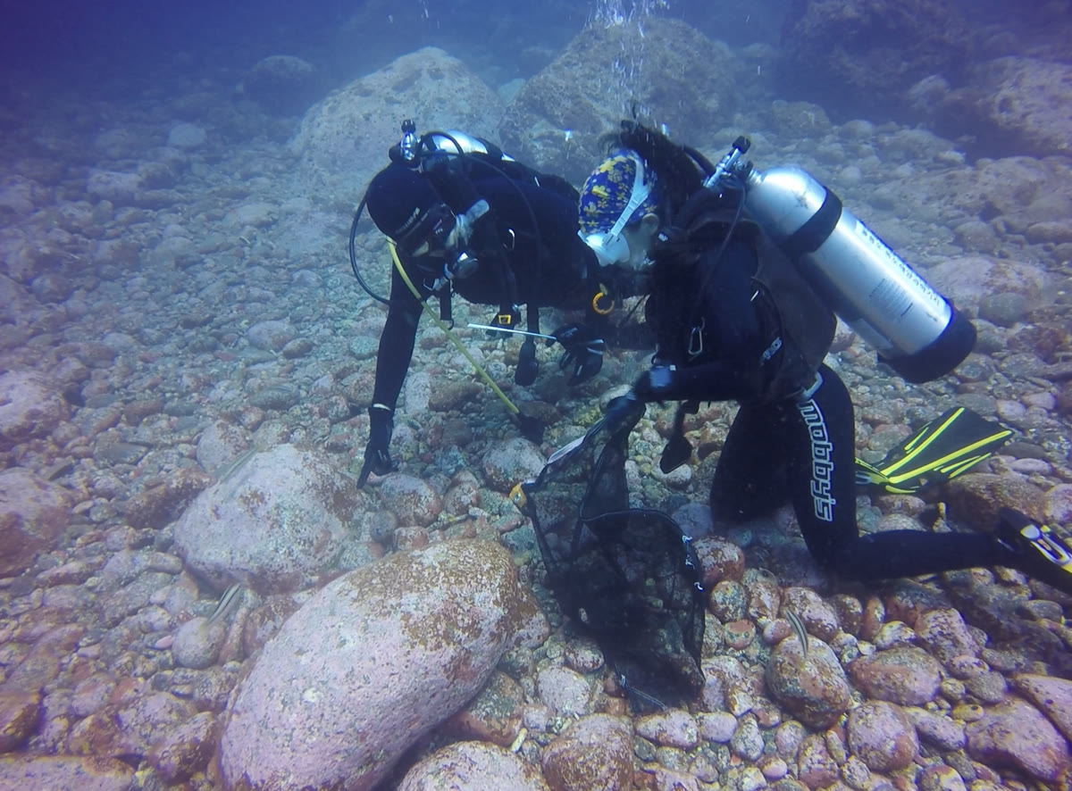 Two scuba divers on a rocky seabed