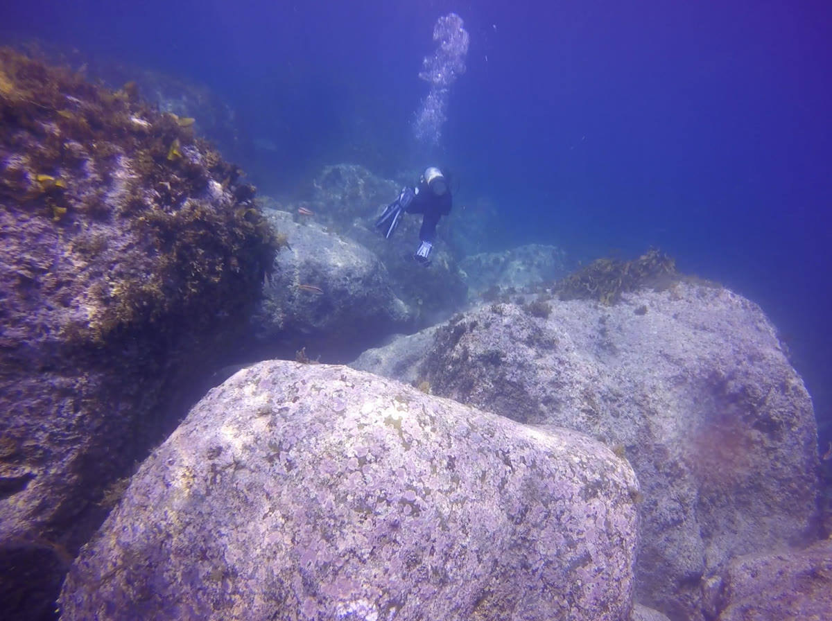 A diver swimming past large boulders